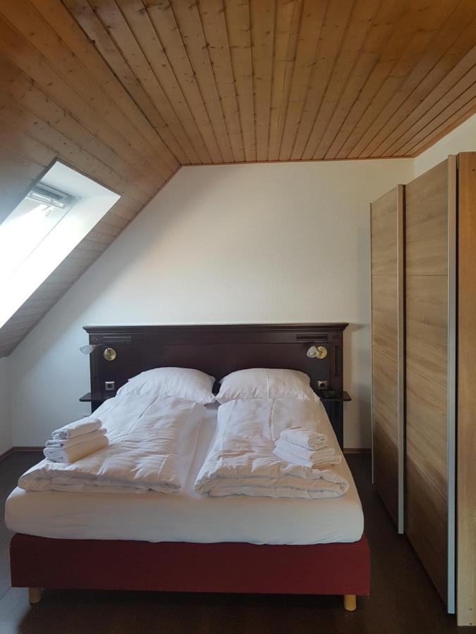 פריזנהיים Eisberg Gaestehaus & De Luxe Appartements מראה חיצוני תמונה